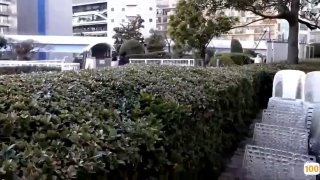 DVDMS-928 顔出し解禁！！ マジックミラー便 働く女の最高峰！大手航空会社のキャビンアテンダント-cd1